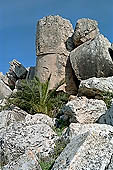 Selinunte the temple hill. Temple G (VI-V c BC), dedicated to Apollo it is one of the largest Greek temples ever attempted. Ruins are left on the ground in a gigantic and fascinating heap of ruins. 